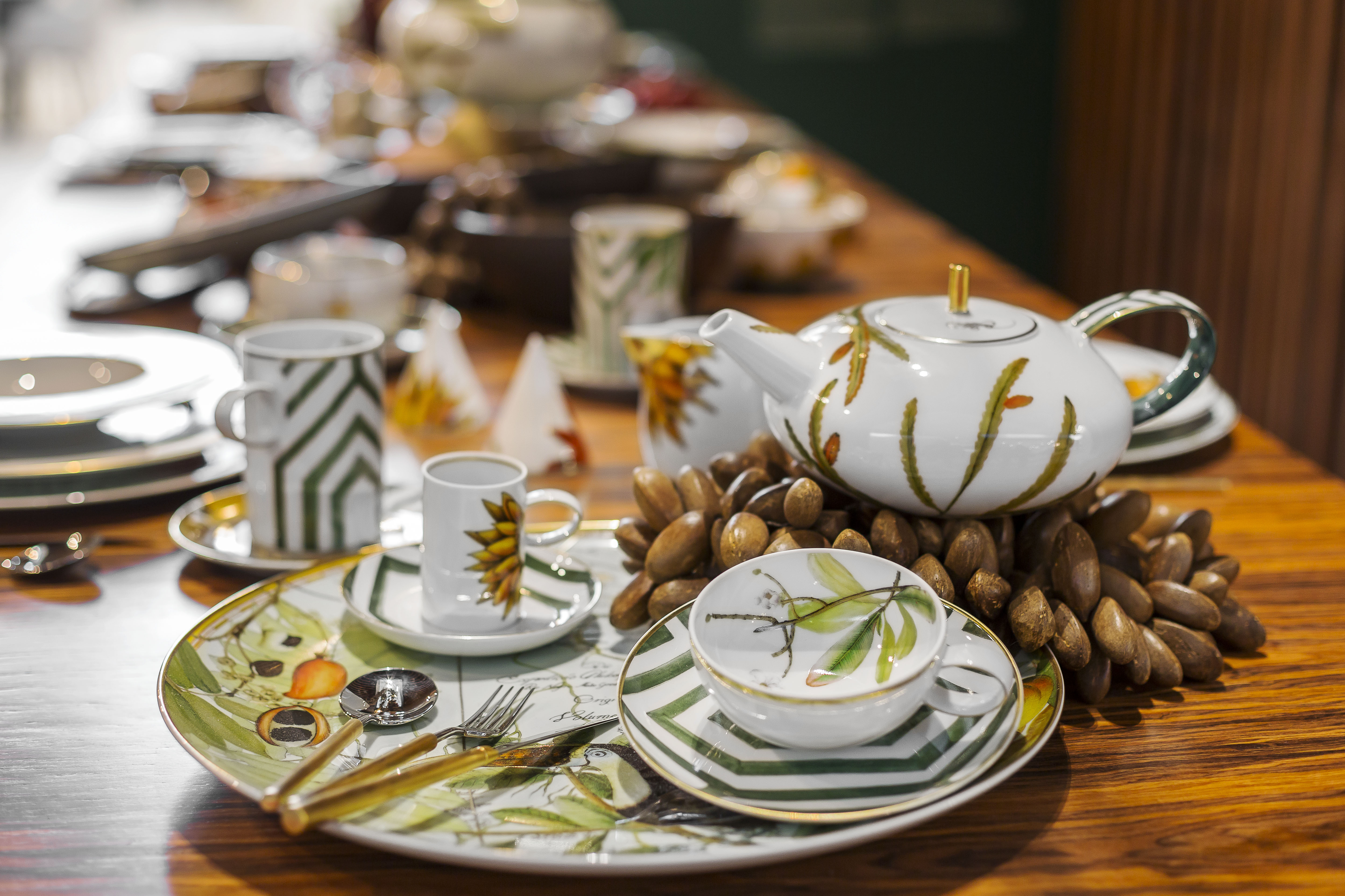 Vista Alegre Amazonia | Ecoarts Amazonia 
