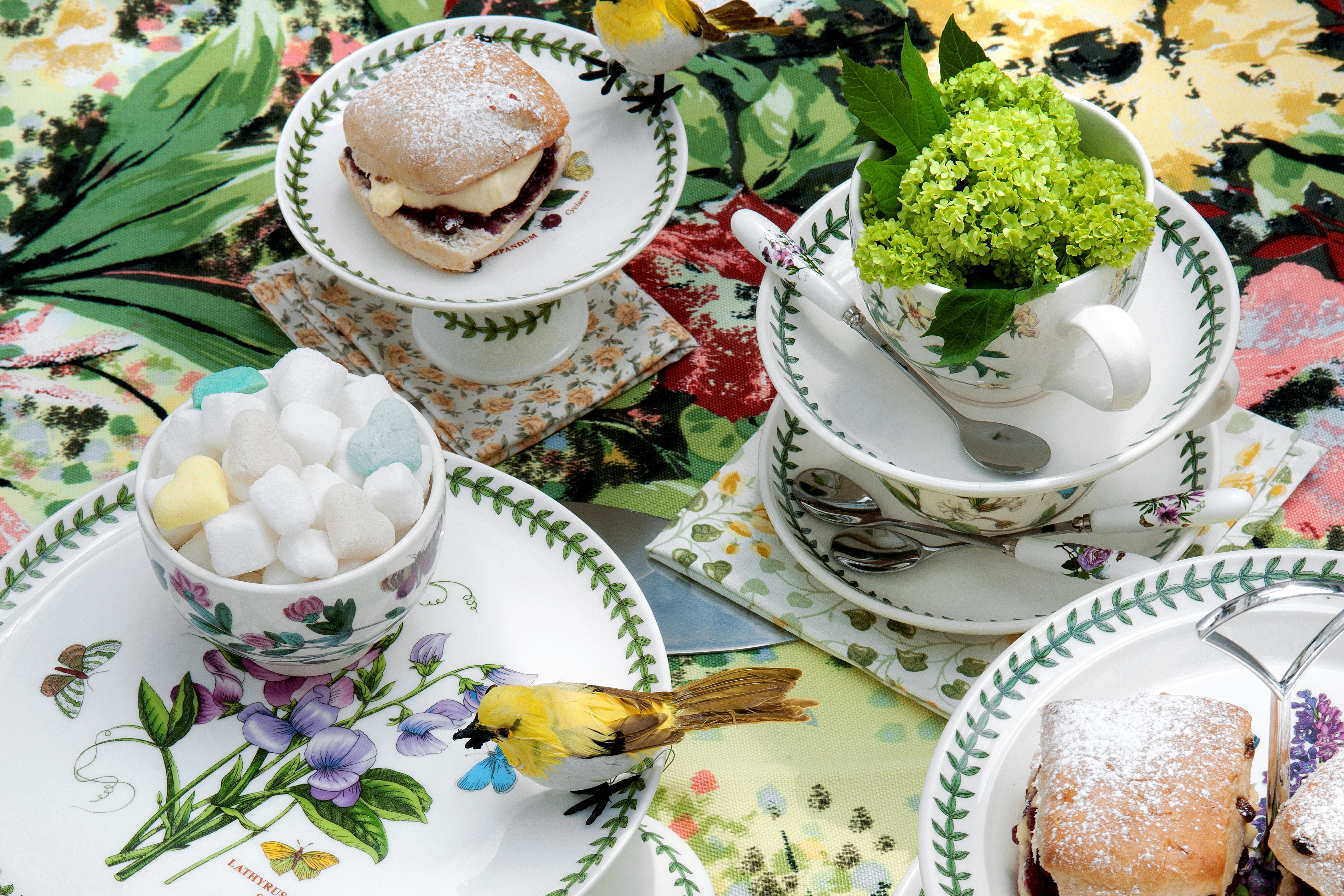 Portmeirion Botanic Garden
