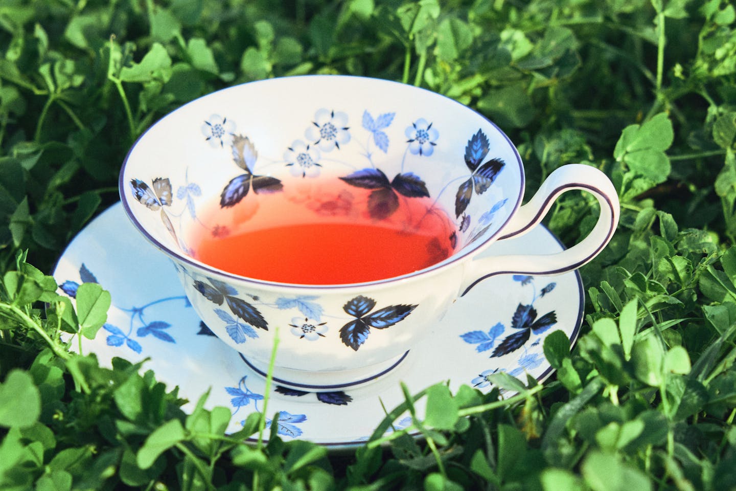 Wedgwood Wild Strawberry Inky Blue