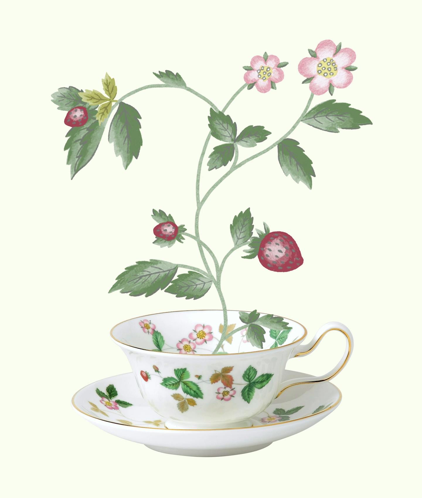 Wedgwood Wild Strawberry