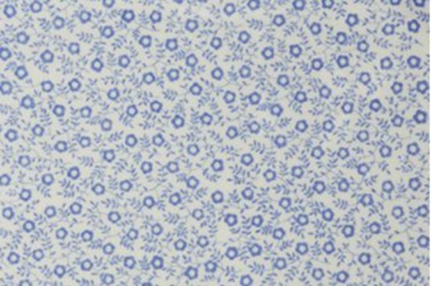 Blue Felicity
