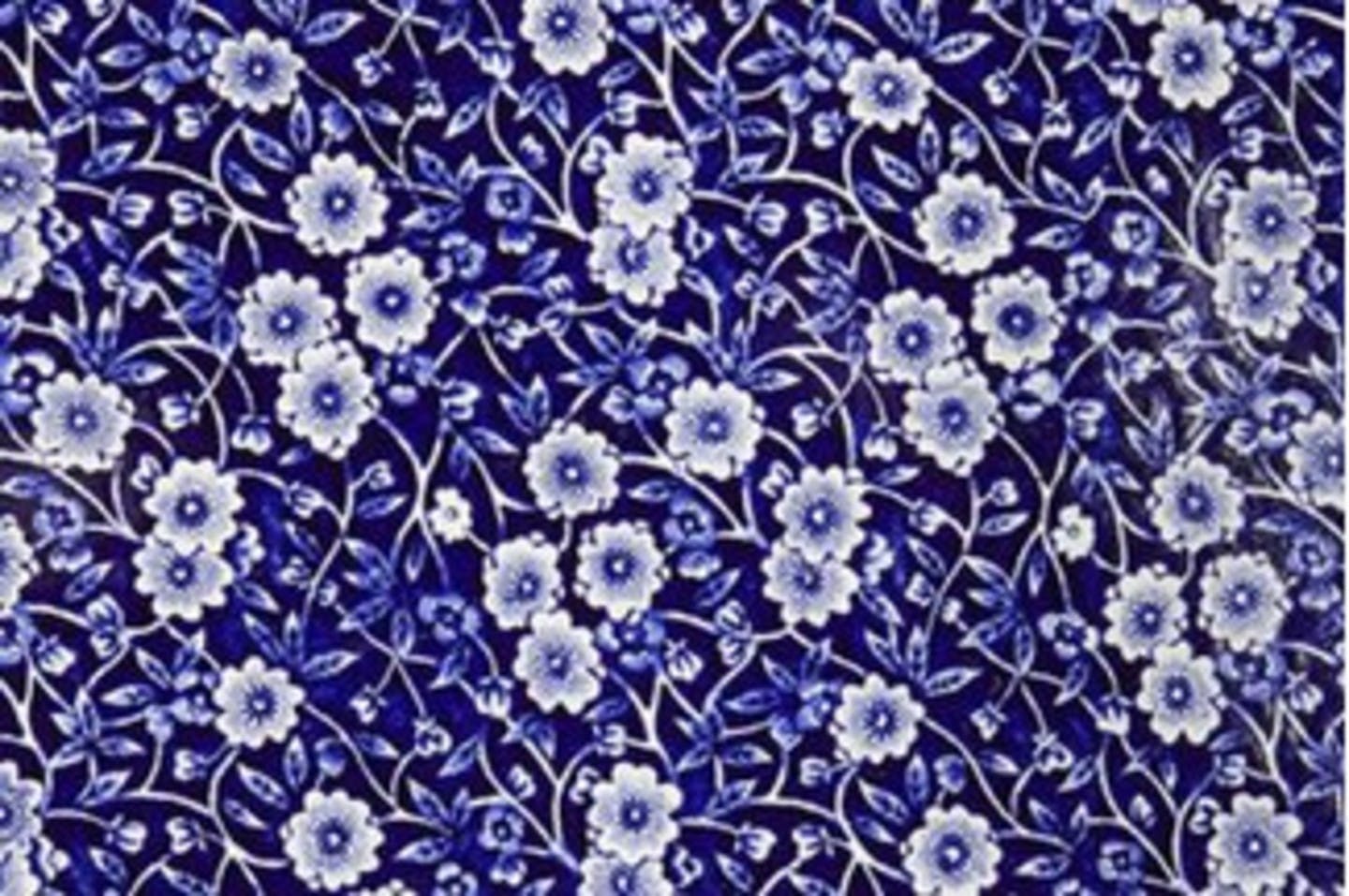 Blue Calico