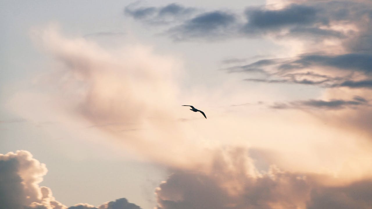 John Bunyan's Exhortation to Peace and Unity