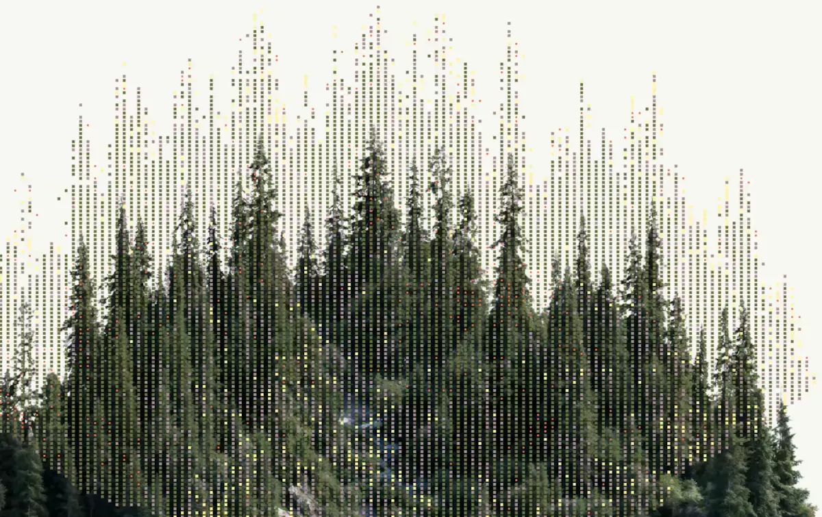 placeholder forest