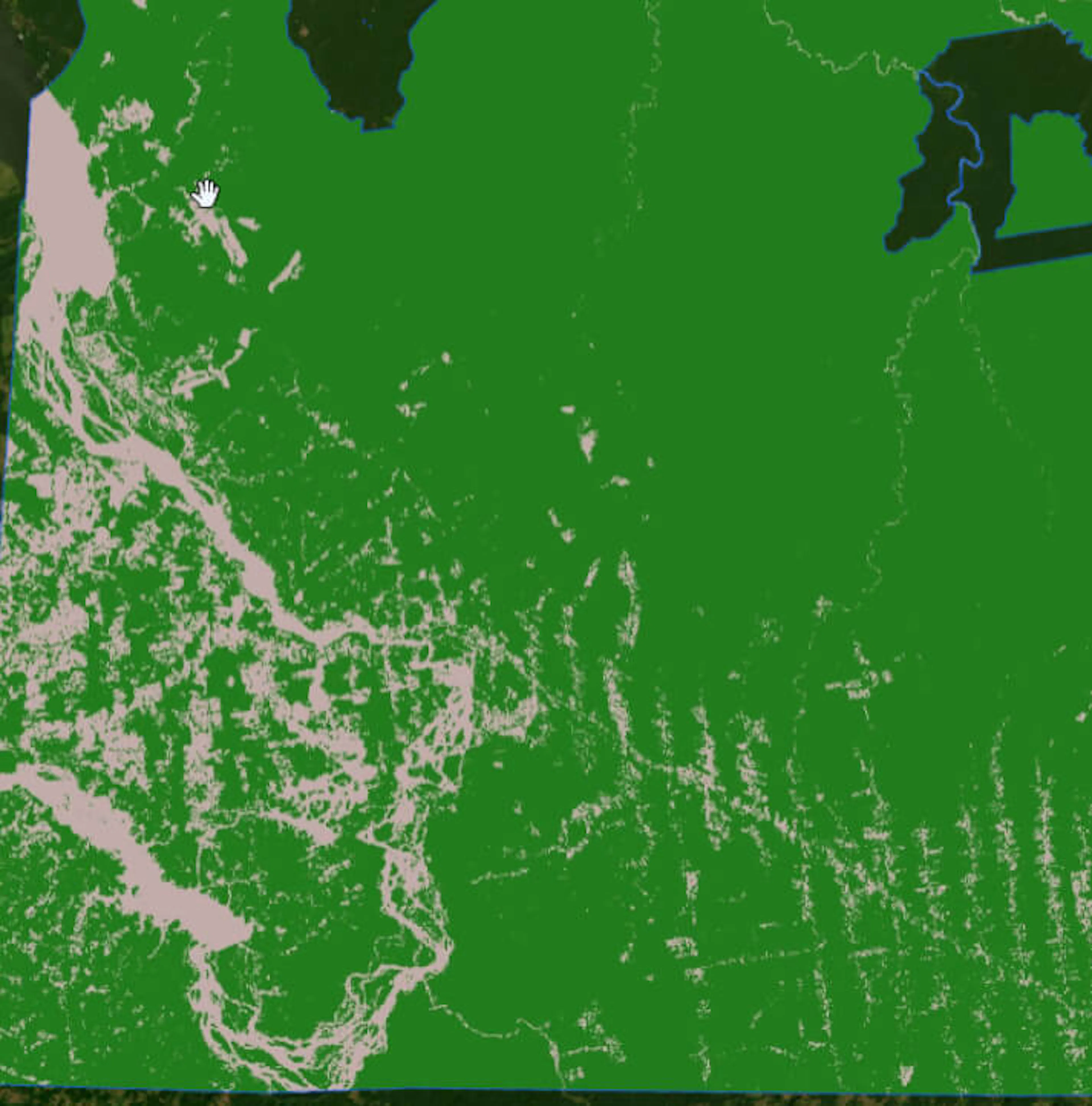 Forest cover '05