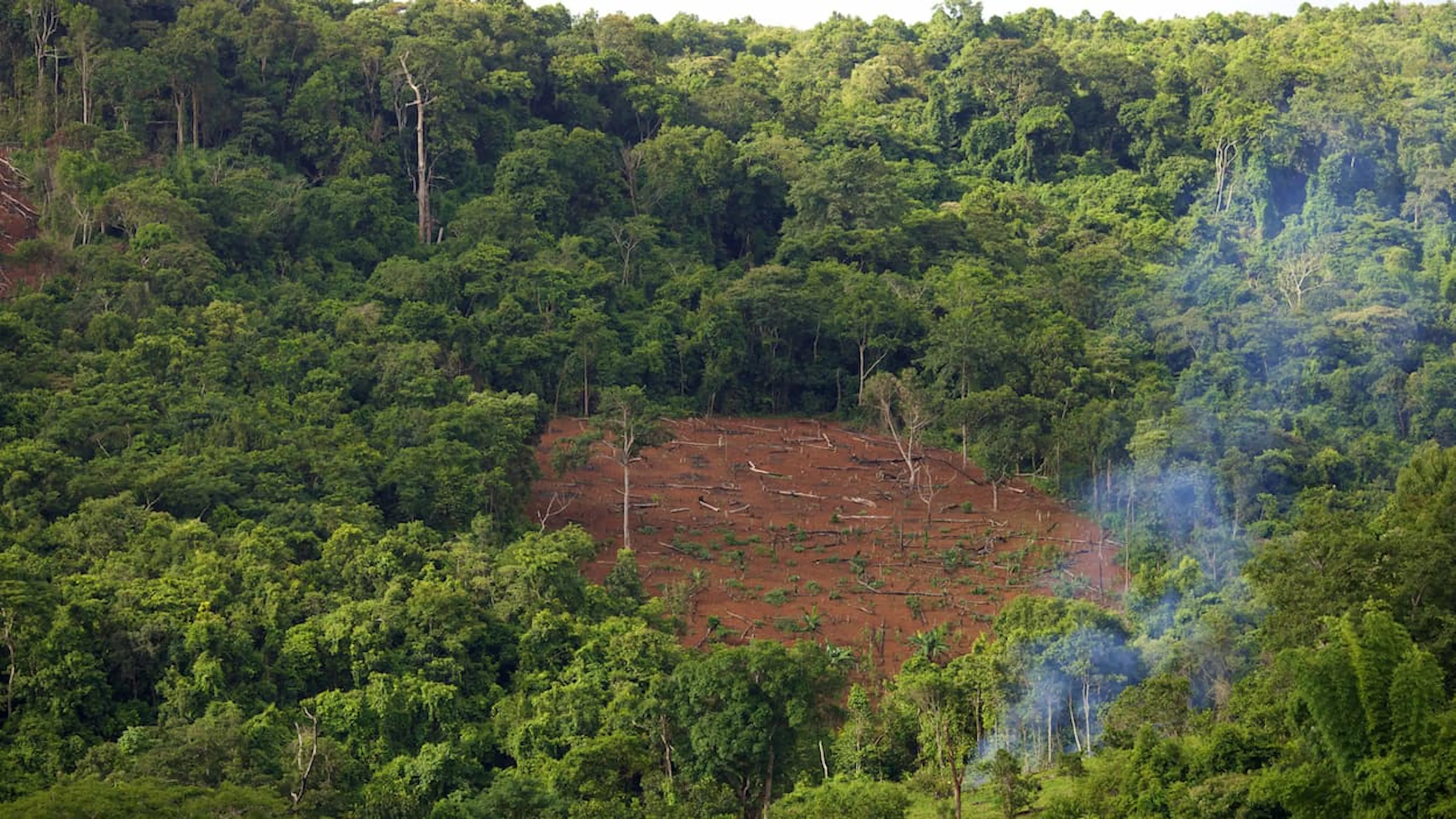 Aerial view of deforestation