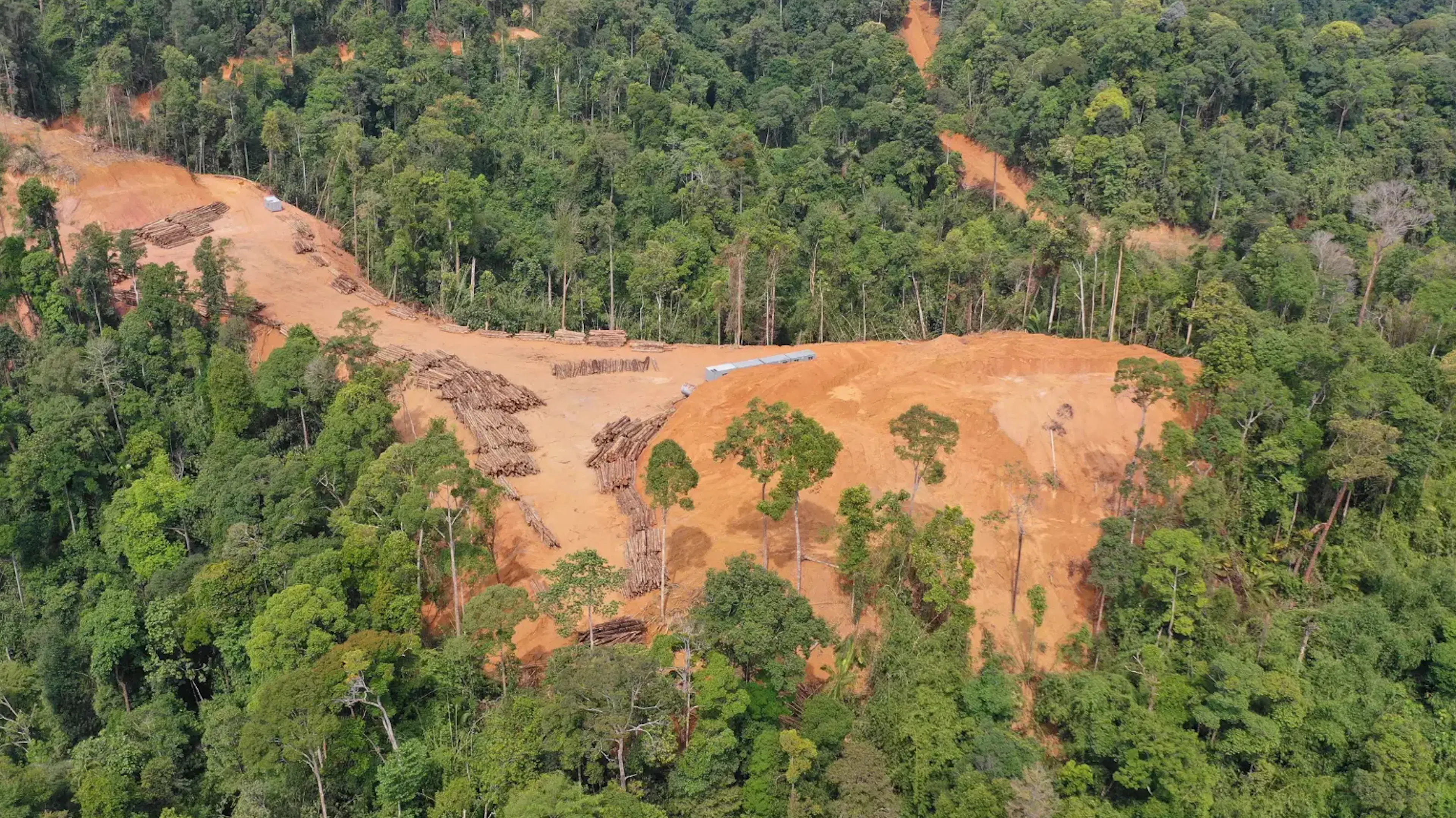 Aerial view of deforestation in a rainforest