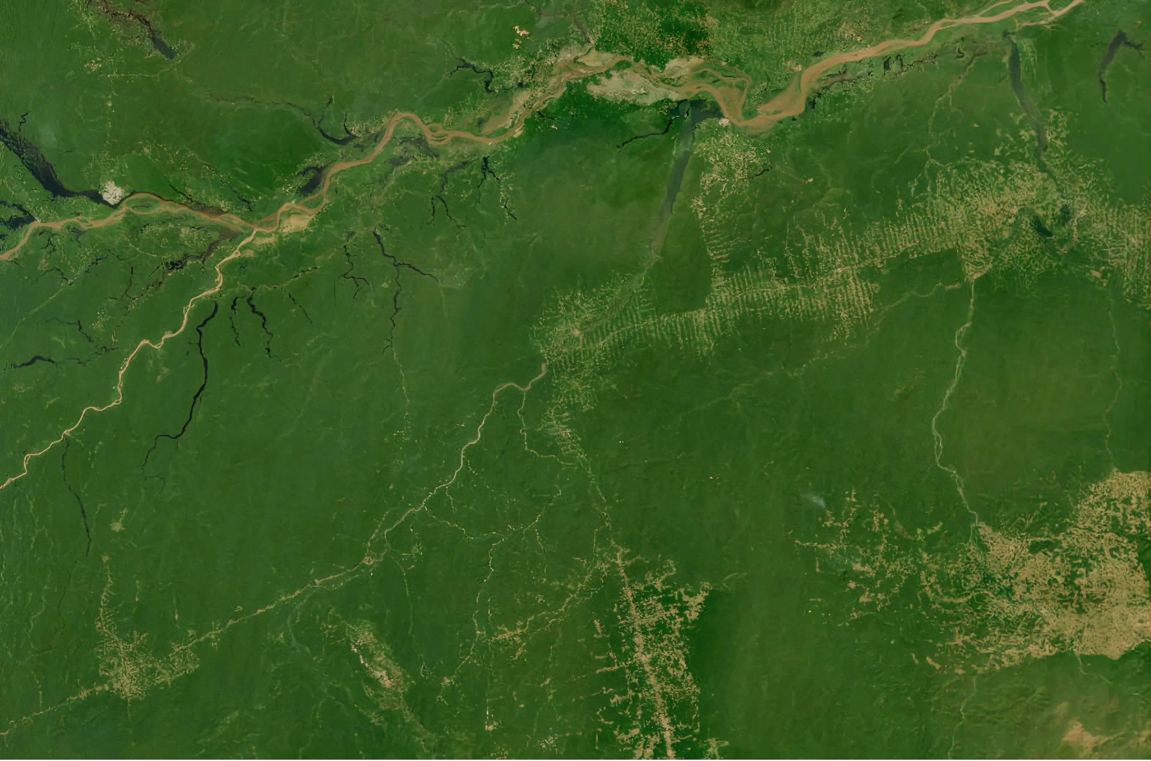 Forest Cover Map