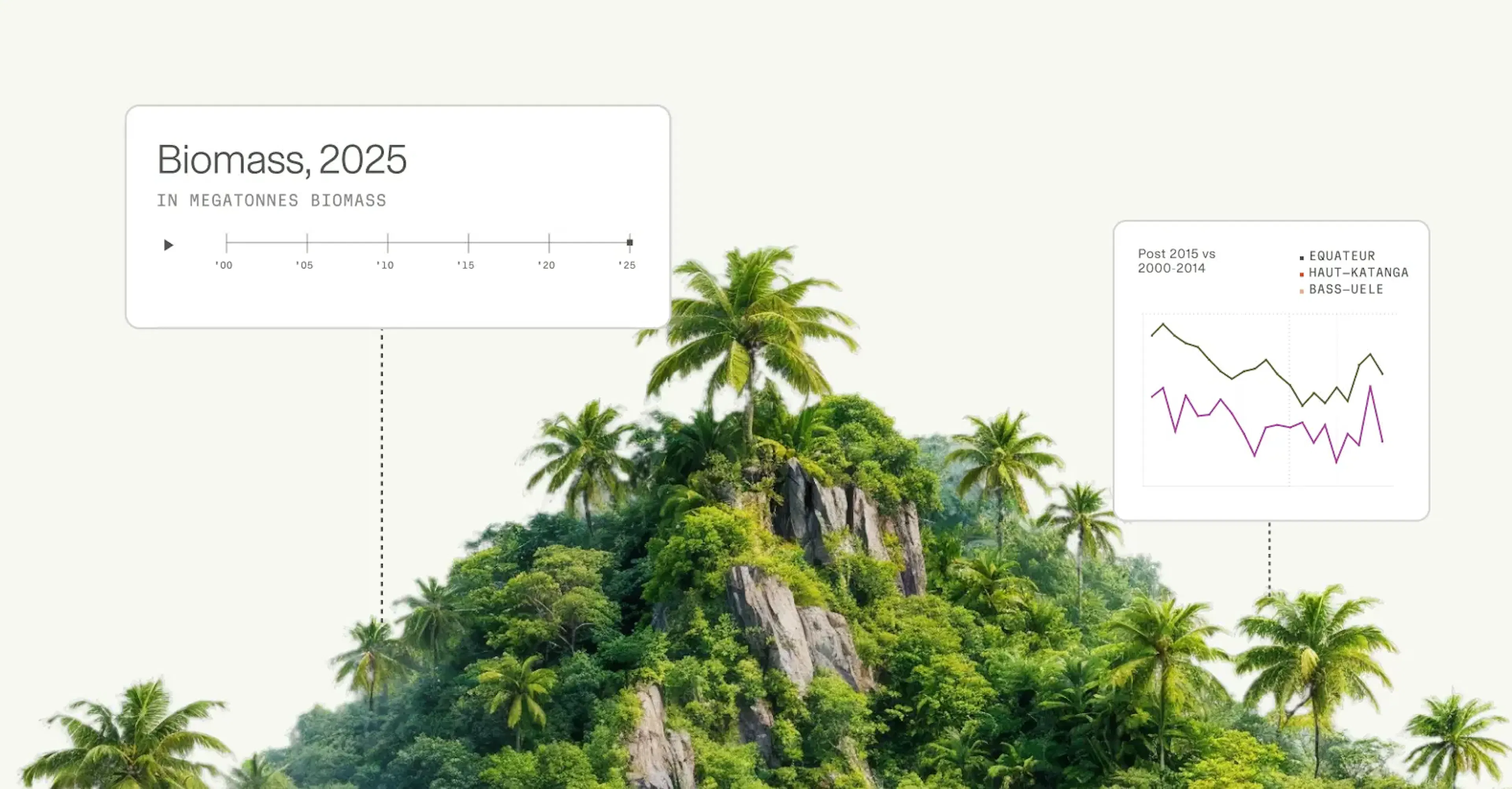 tropical forest biomass