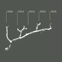 branch illustration