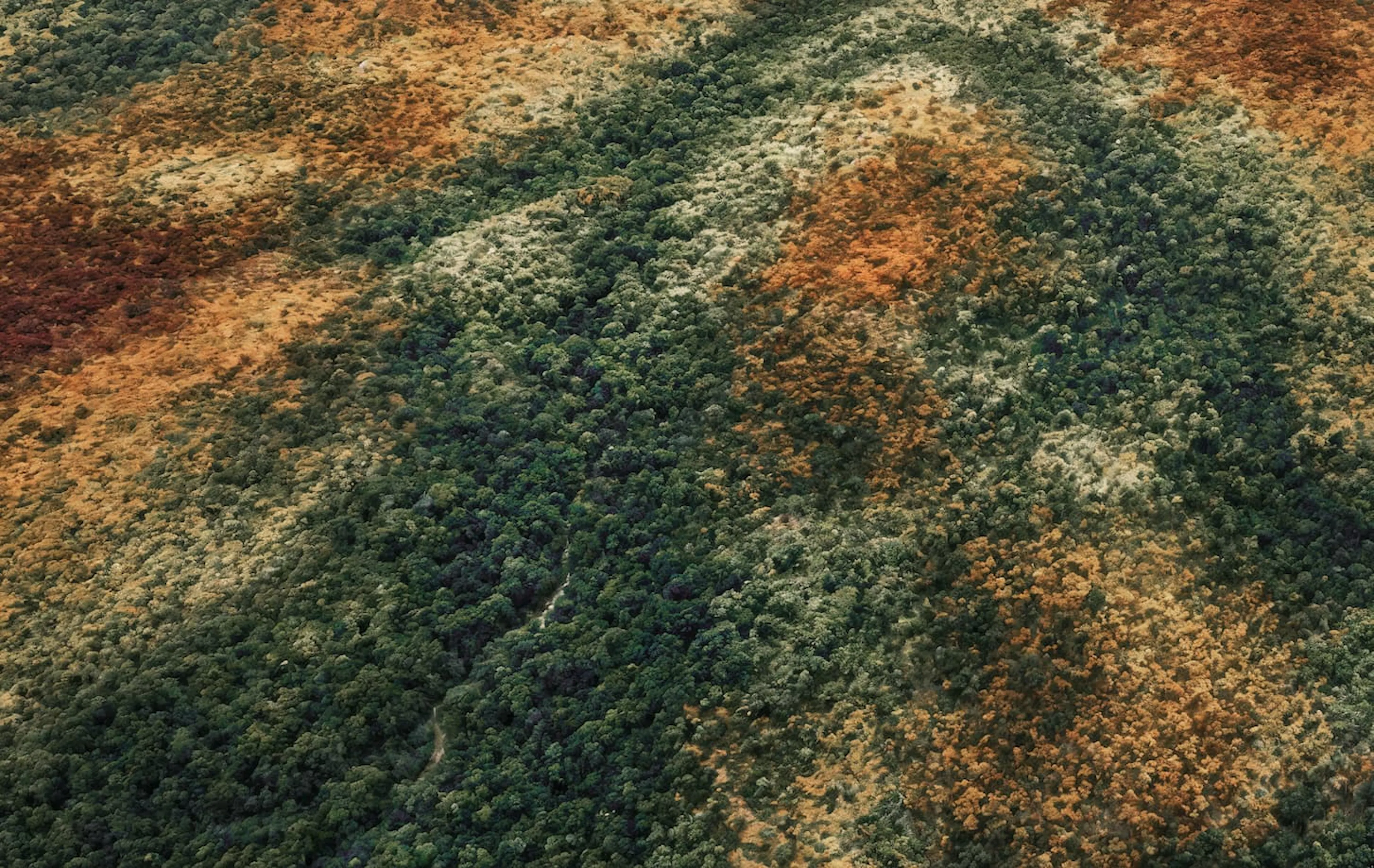 Activated Landscape