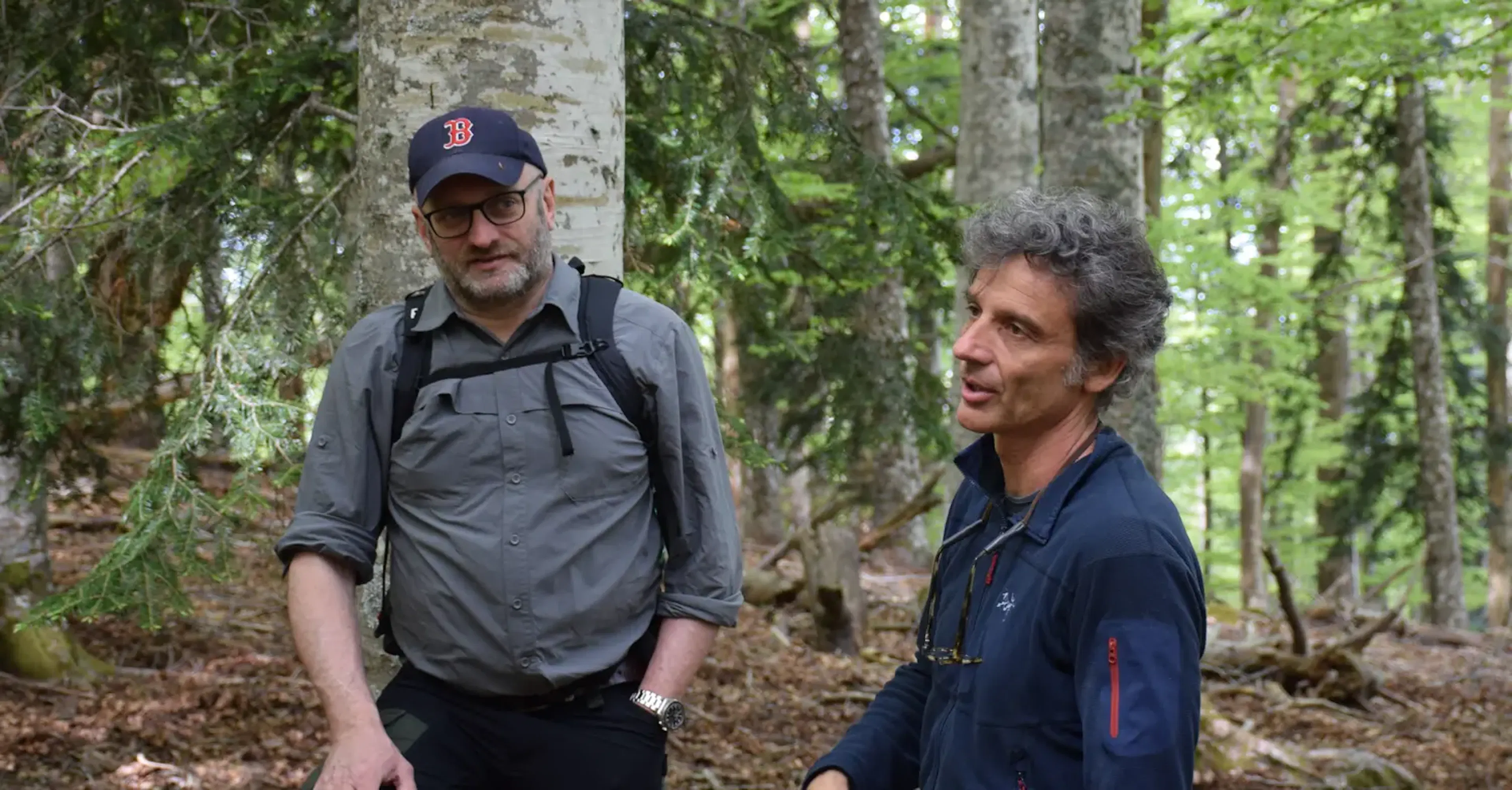 Chloris CEOs in forest