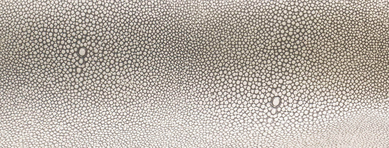 Some old antique shagreen skin from a Stingray