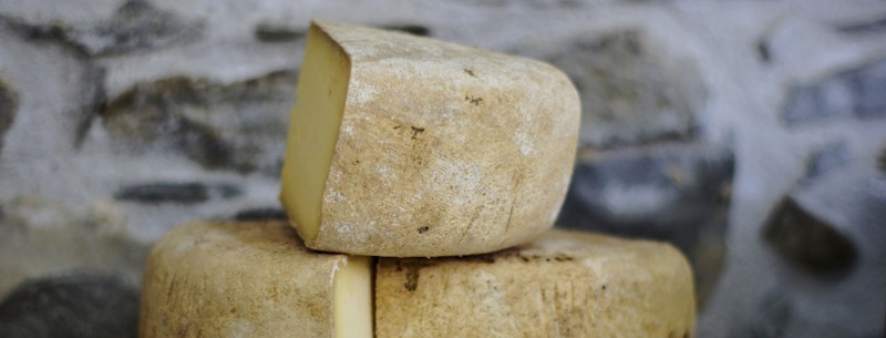 Cheese production has risen every year since 2015