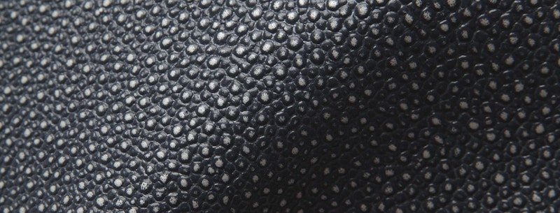 A detail of a dark, black shagreen skin from a Stingray 