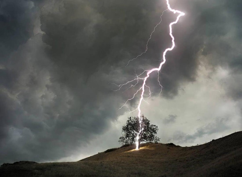A large and lonely tree getting struck by a bolt of lightning