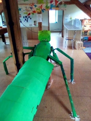Un insecte en carton