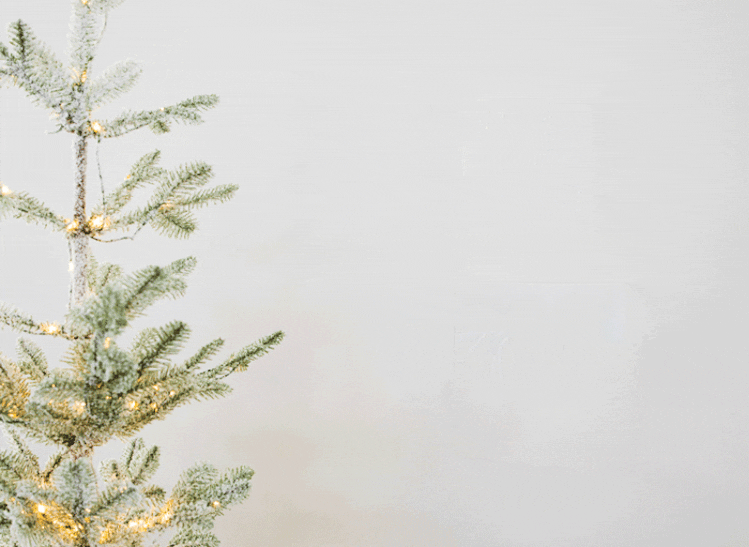 gif of holiday photo tiles appearing on wall next to light-wrapped Christmas tree