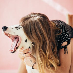 Happy dog with owner
