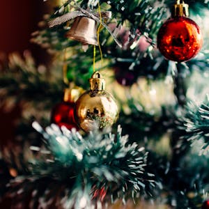 ornaments on an evergreen tree