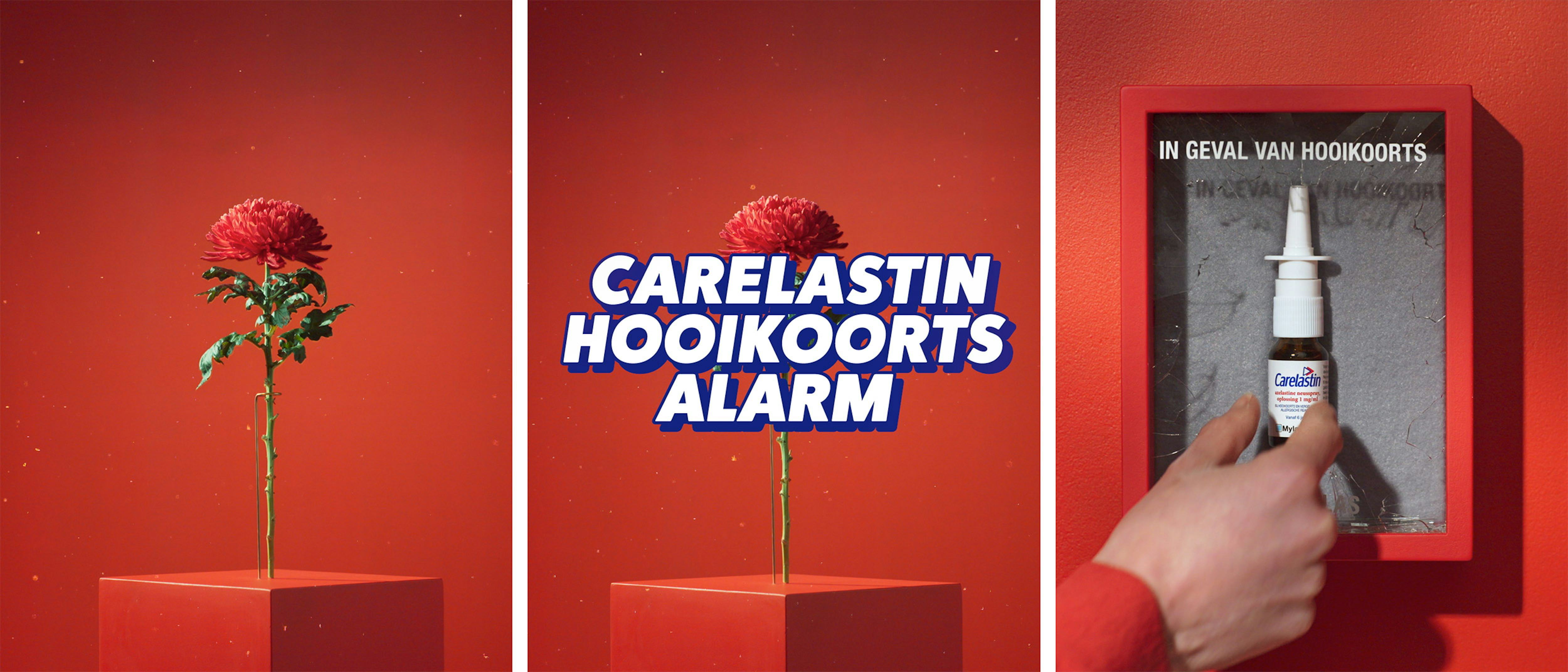 Carelastin - Viatris: Chunk Creative Agency - Amsterdam | London