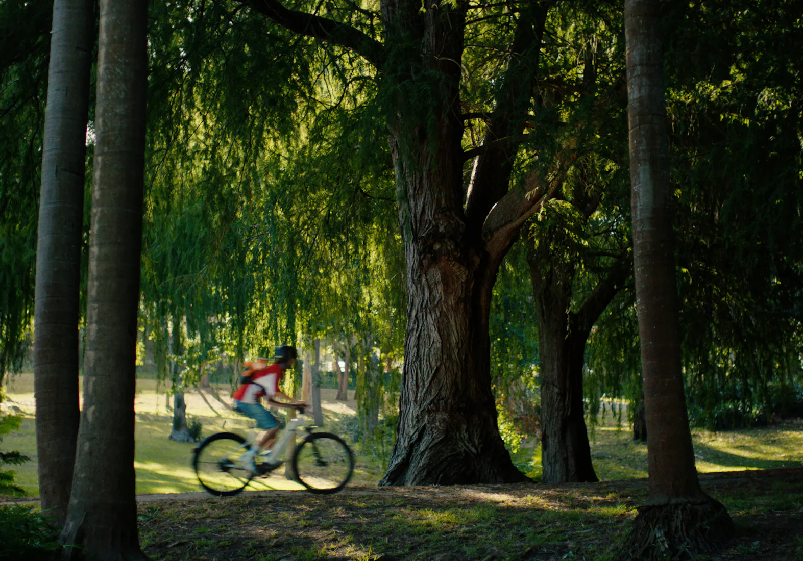 ROCKRIDER "E-ACTV 100"