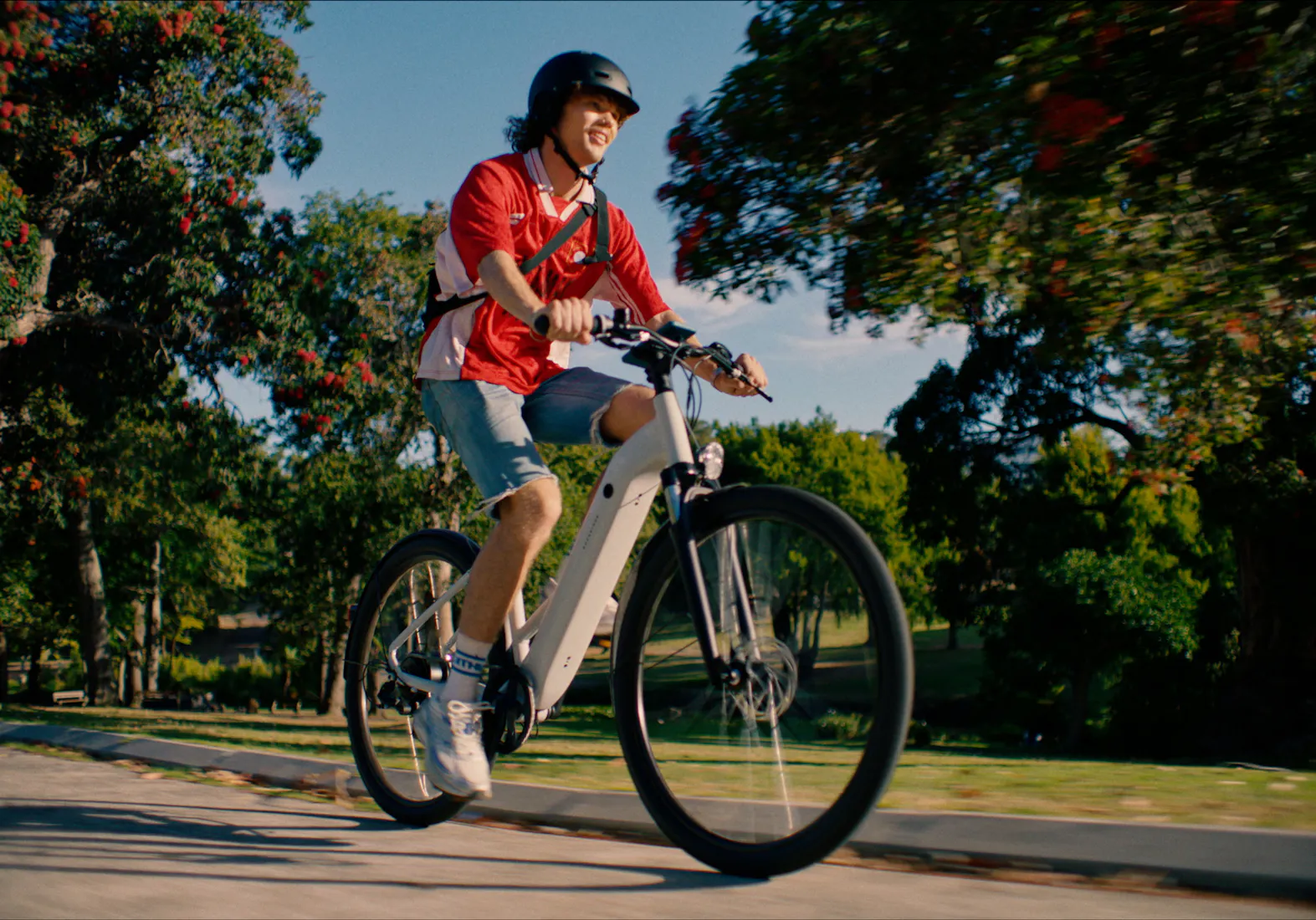ROCKRIDER "E-ACTV 100"