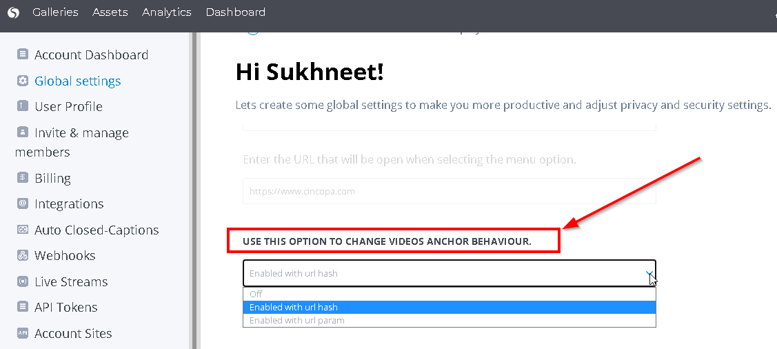How to link an Anchor in a Video Asset