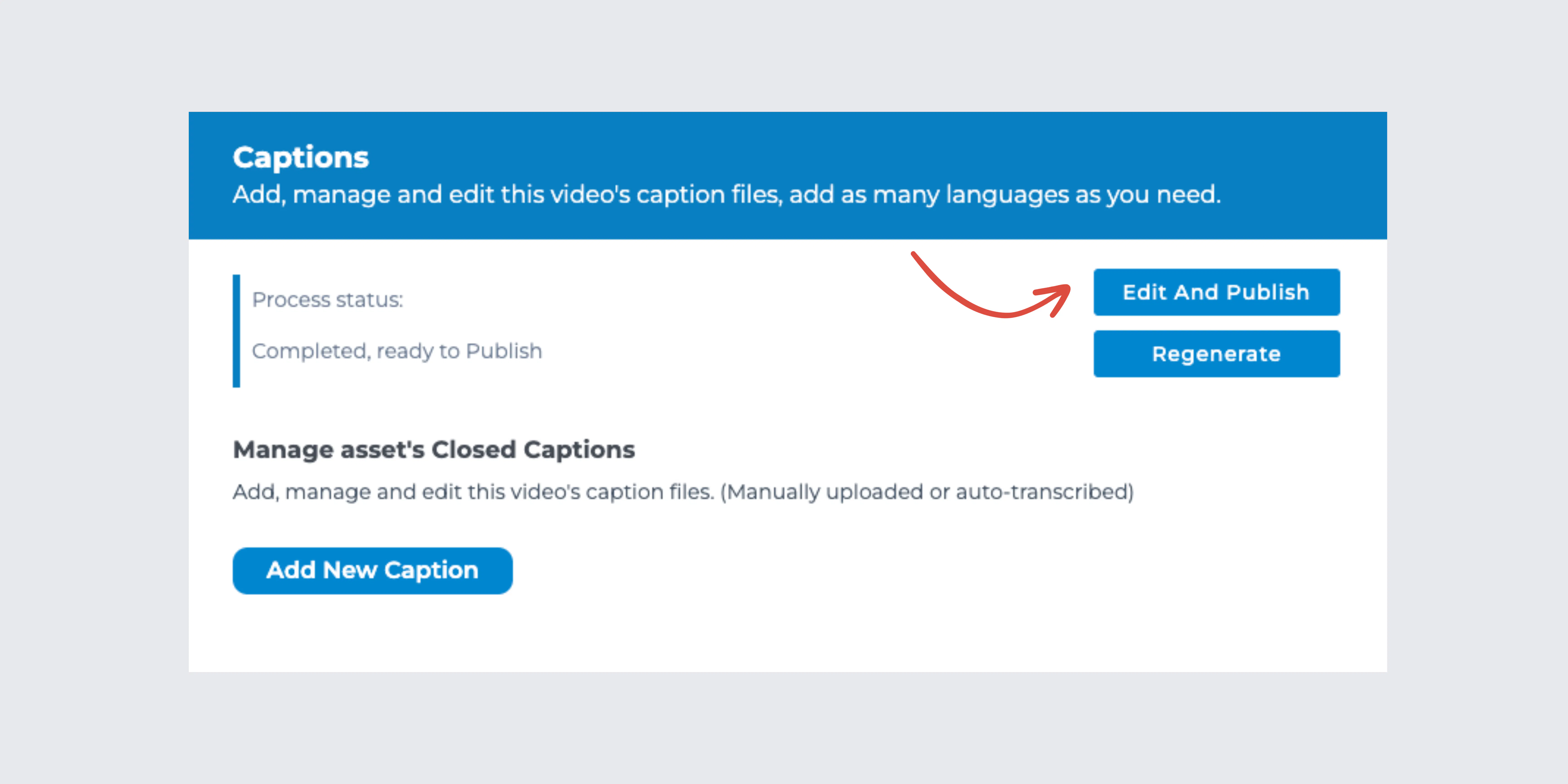 Automatic captioning - Cincopa