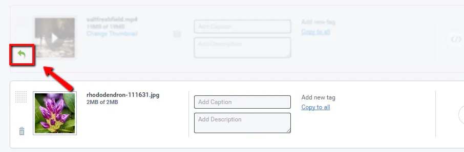 Add or edit captions and descriptions to gallery