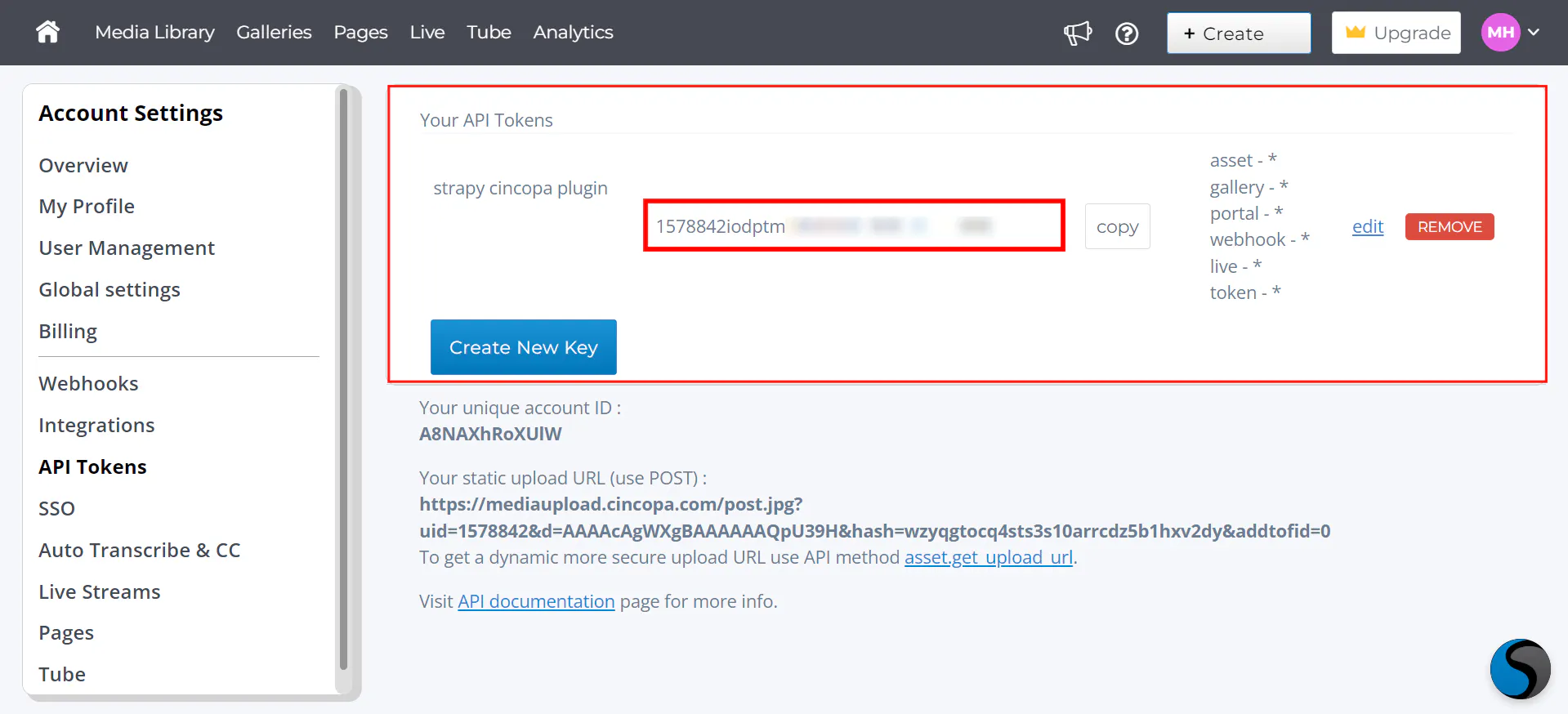 Integrate Cincopa with Strapi