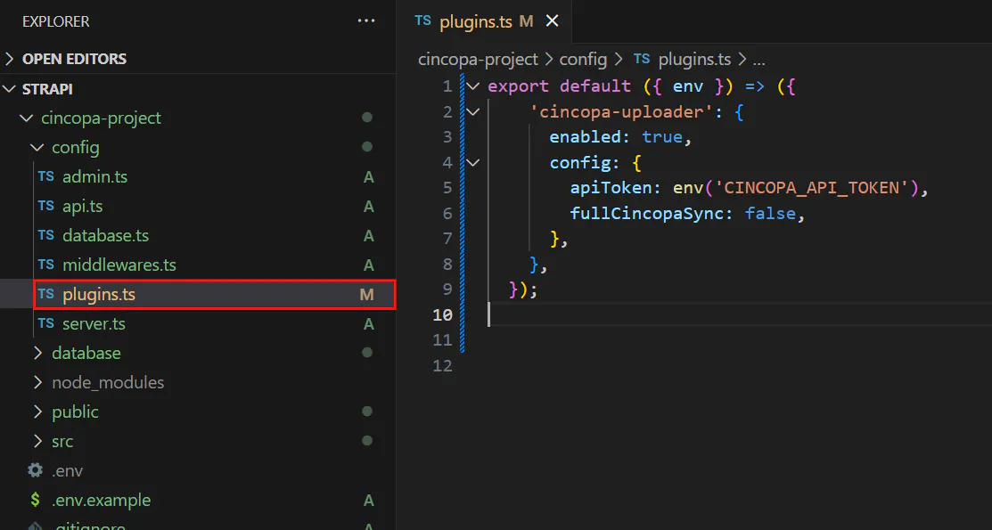 Integrate Cincopa with Strapi