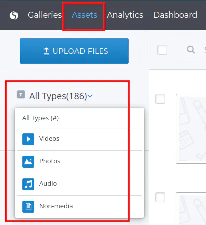 Change Asset type filter