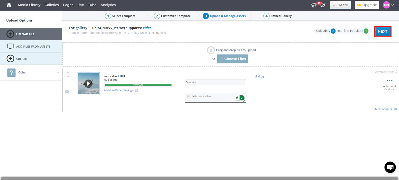 Using Layout Templates When Embedding Individual Assets in Cincopa