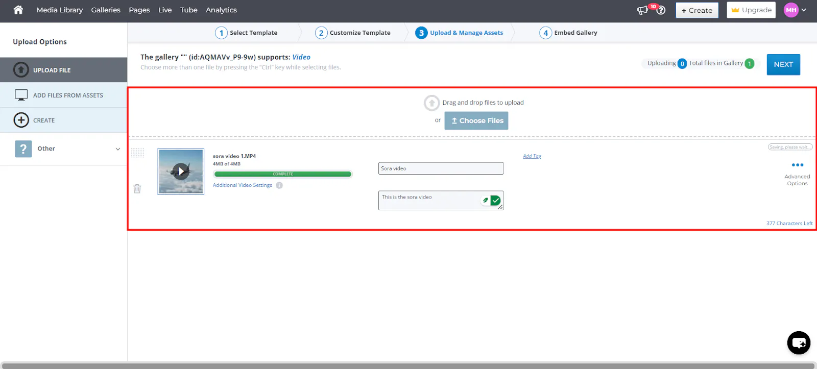 Using Layout Templates When Embedding Individual Assets in Cincopa