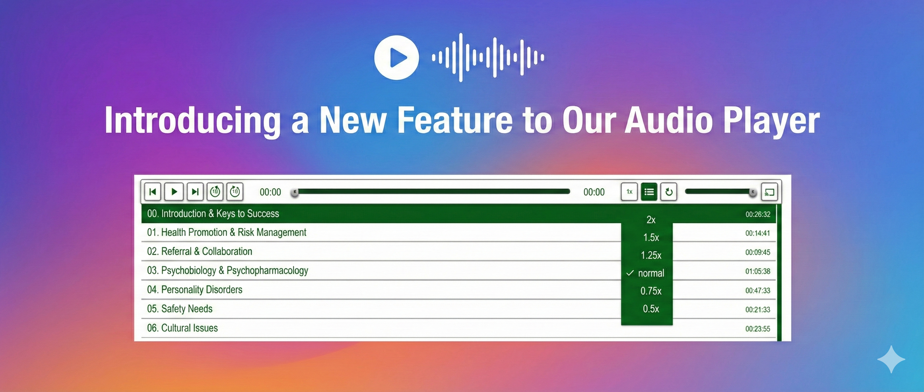 Audio player with chapter navigation, playback controls, and a playlist