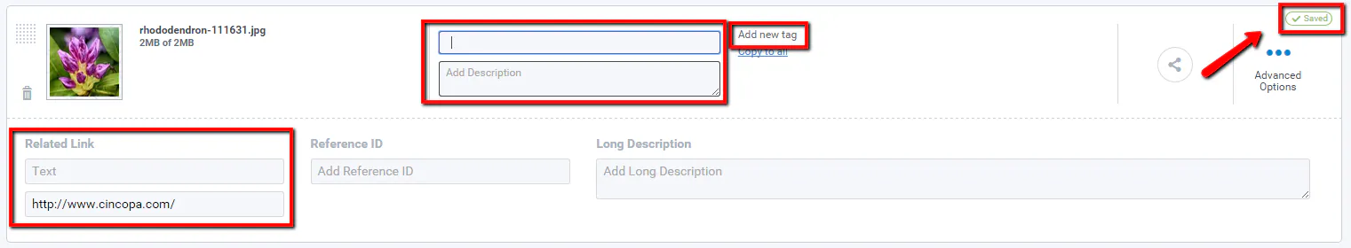 Add or edit captions and descriptions to gallery