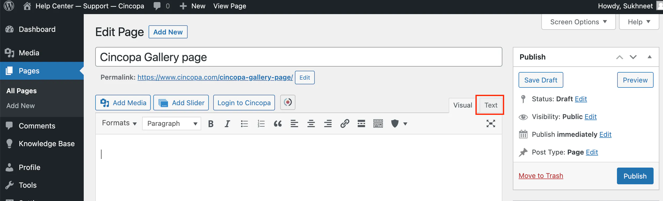 Embed Content in WordPress using HTML