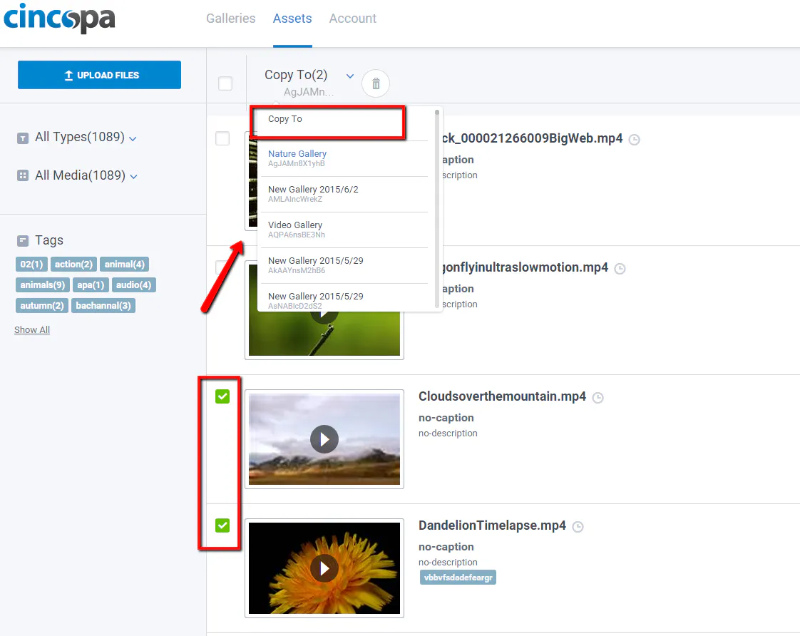 Copy or Duplicate media files from one gallery to another