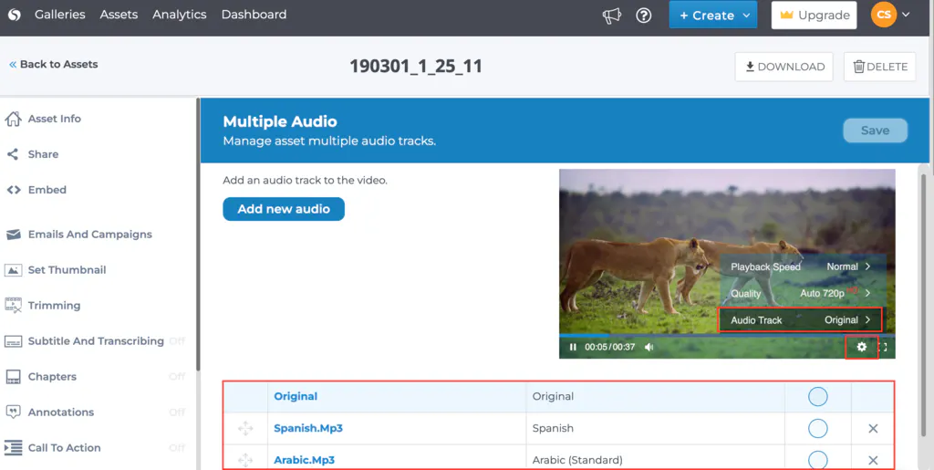 Cincopa Audio Tracks showing the original audio alongside additional tracks and player audio selection