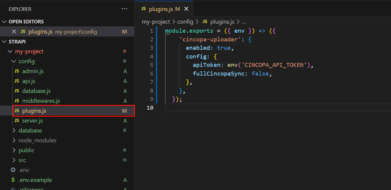Integrate Cincopa with Strapi