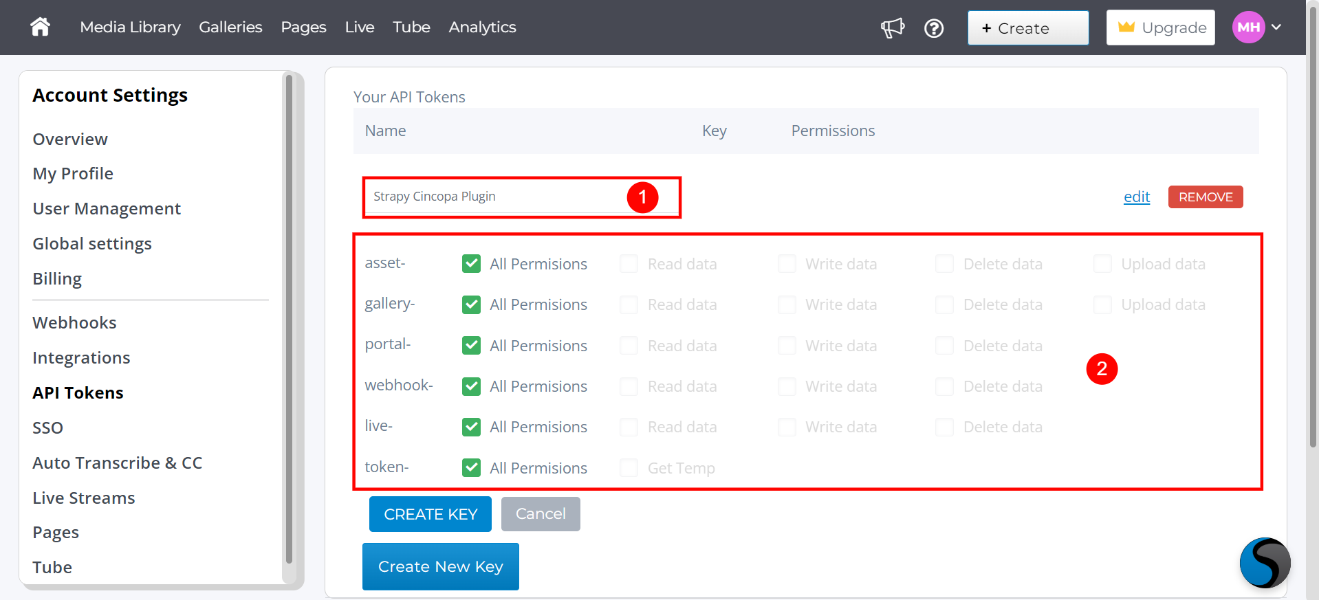 Integrate Cincopa with Strapi