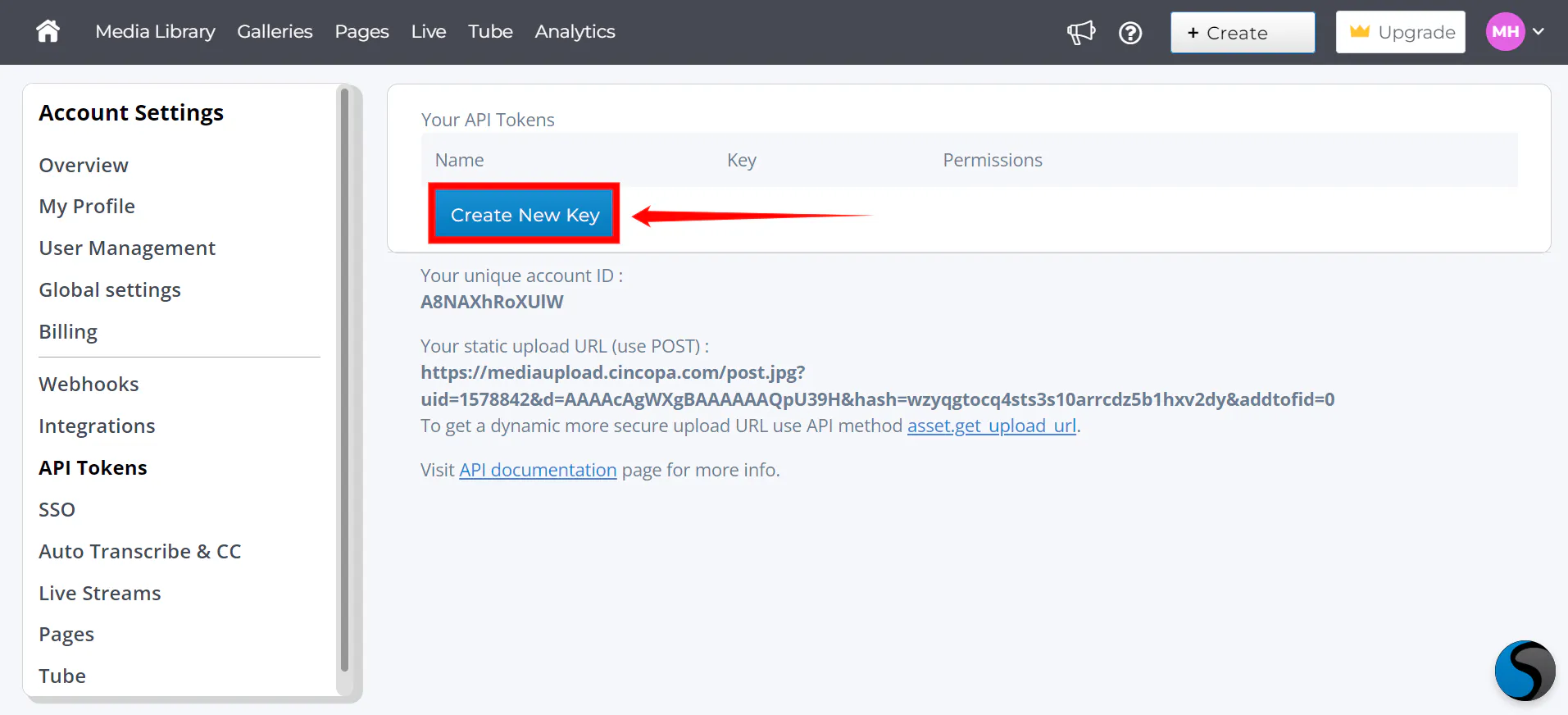 Integrate Cincopa with Strapi