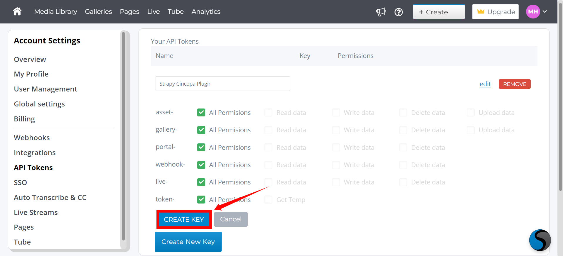 Integrate Cincopa with Strapi