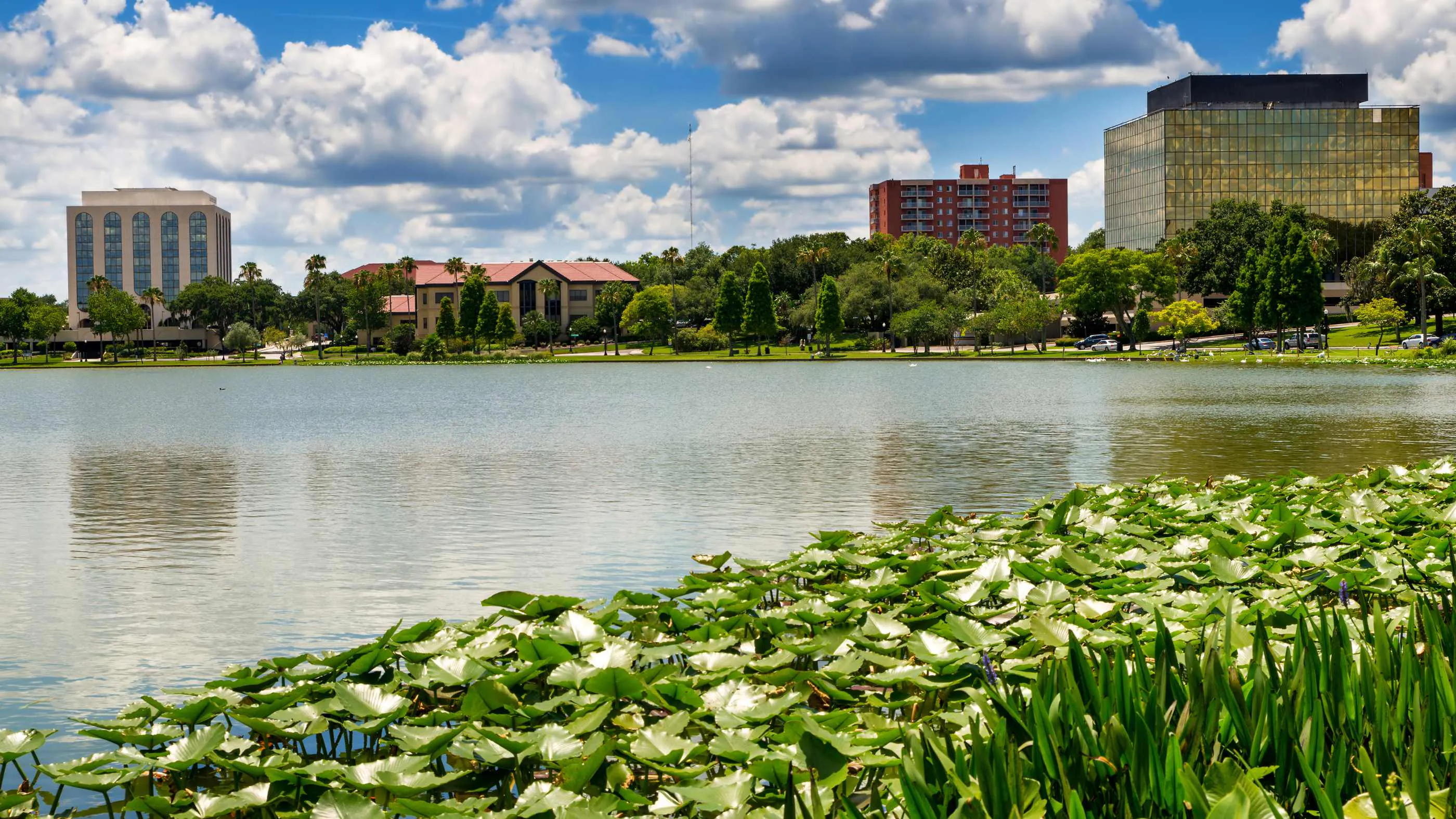 Dating in Lakeland, Florida: A Local Matchmaker’s Guide for Successful Singles