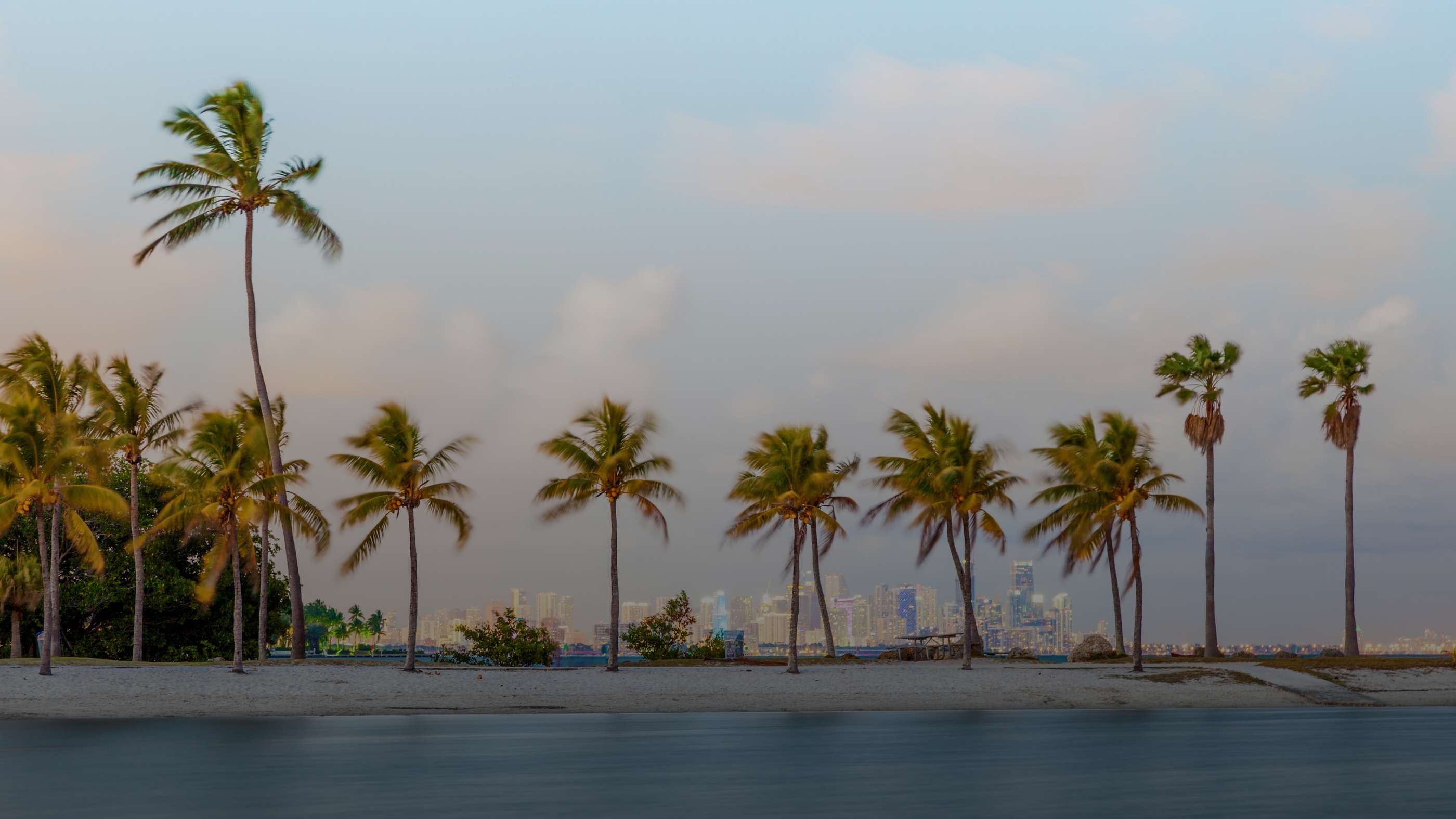 Best Matchmakers in Miami 