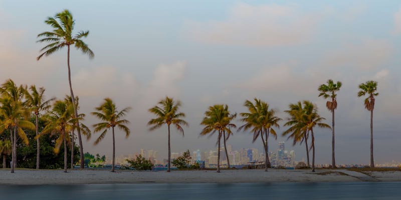 Best Matchmakers in Miami