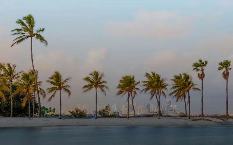 Best Matchmakers in Miami