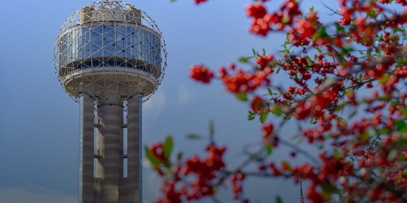 Dating in Dallas A Guide for Successful Singles and Professionals