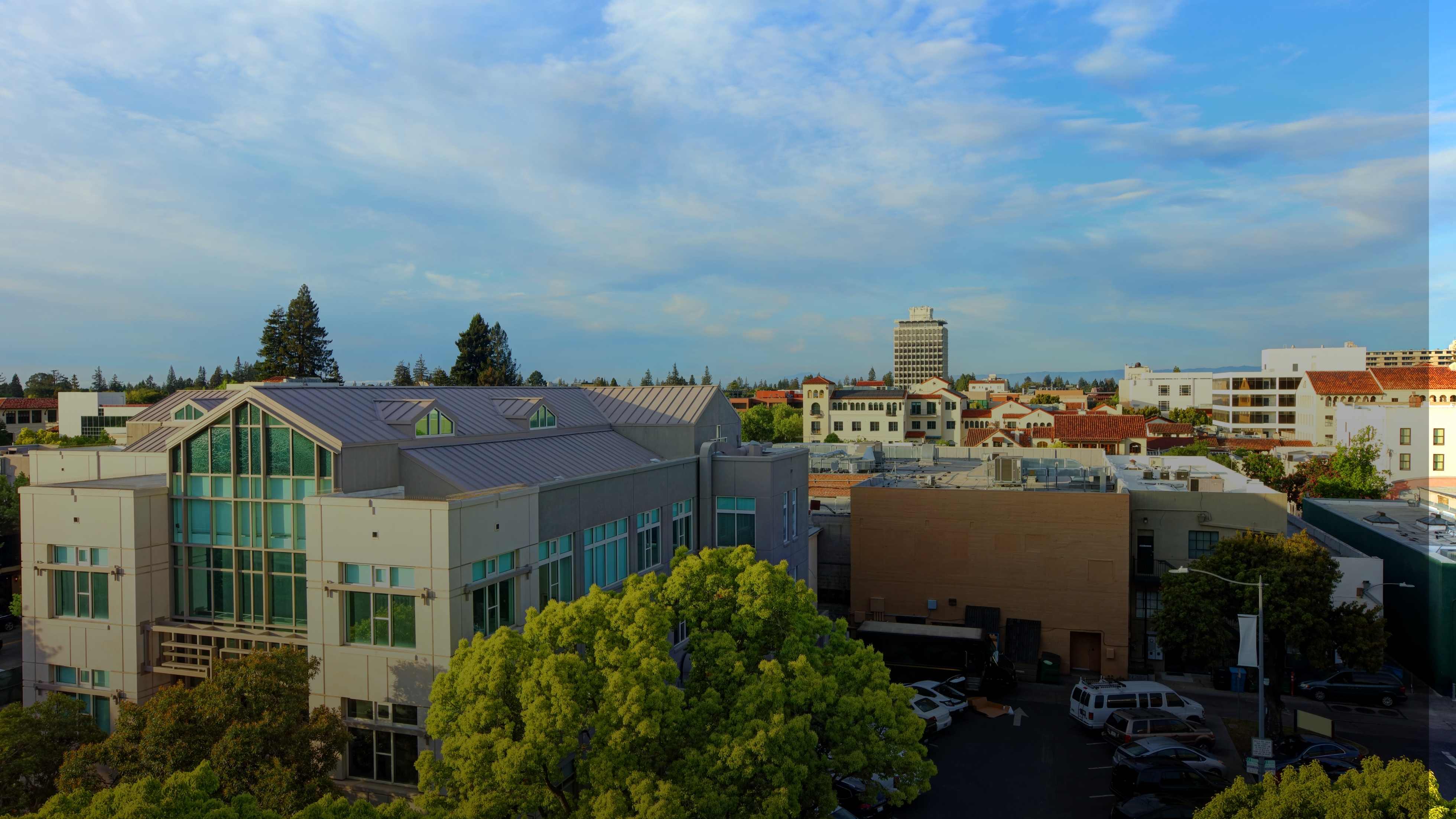 Single Professionals in Silicon Valley California 